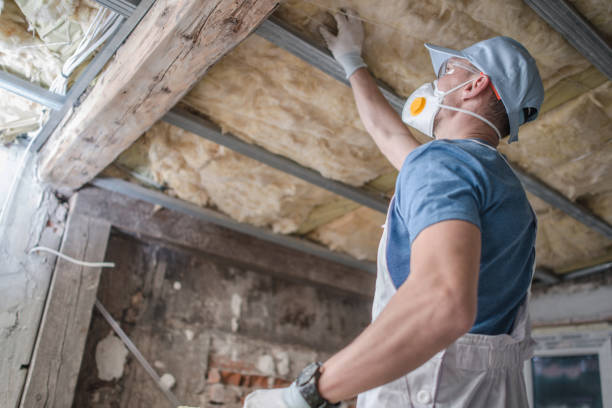 Best Insulation for Specific Applications in Holton, KS