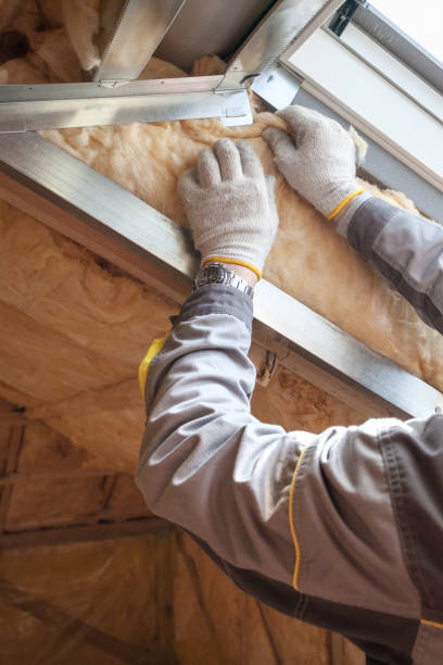 Best Commercial Insulation in Holton, KS