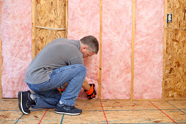 Professional Insulation Contractor in KS